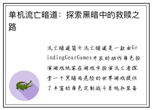单机流亡暗道：探索黑暗中的救赎之路
